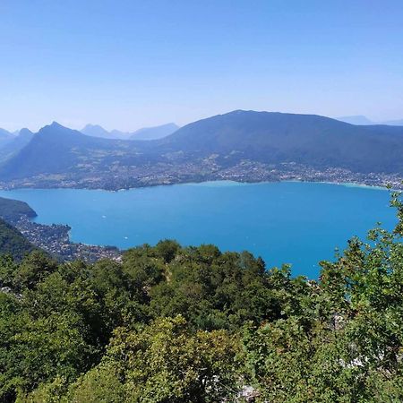 Mon Chalet A Seynod Βίλα Εξωτερικό φωτογραφία