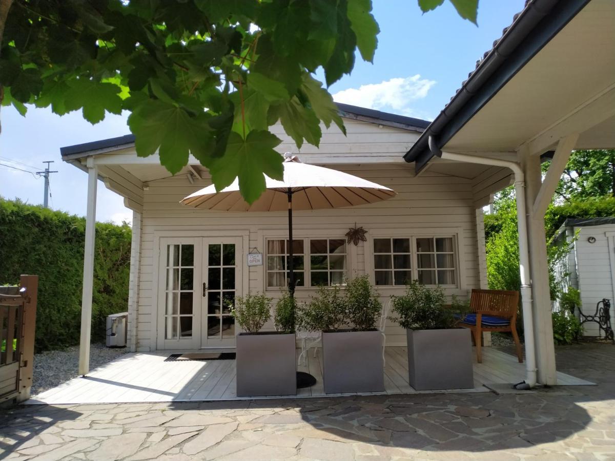 Mon Chalet A Seynod Βίλα Εξωτερικό φωτογραφία