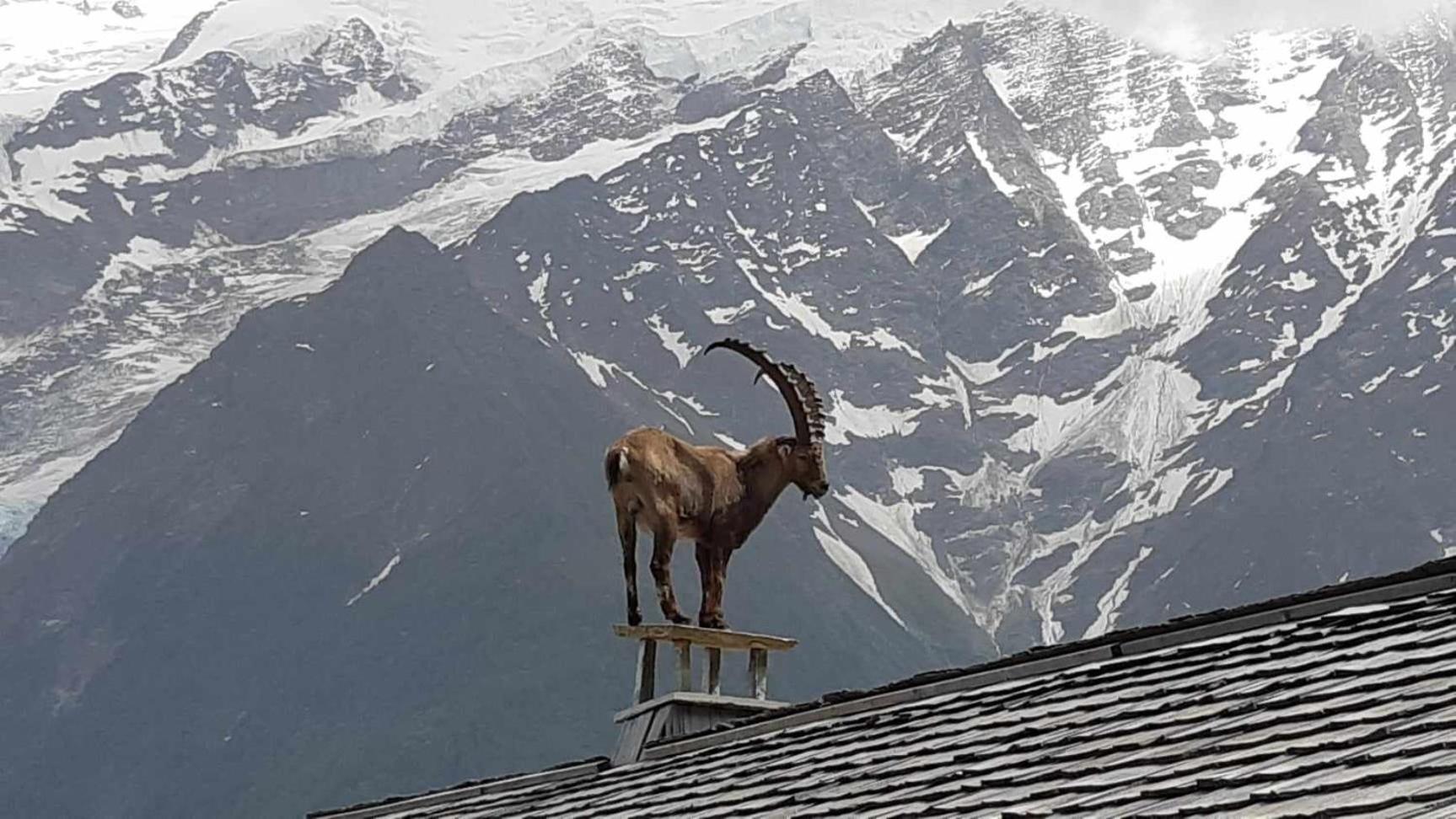 Mon Chalet A Seynod Βίλα Εξωτερικό φωτογραφία